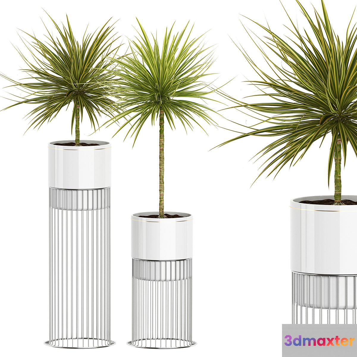 INTERIOR FLOWER PACK 55 3D Max