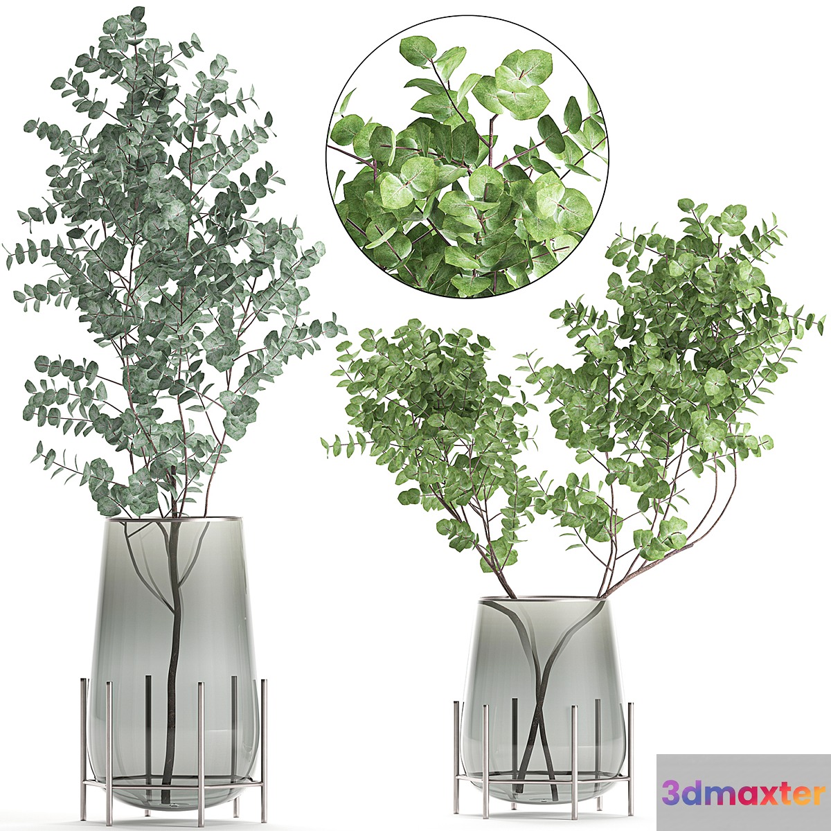 A collection of beautiful bouquets of branches with Eucalyptus leaves in a shelved vase. Set of 100.
