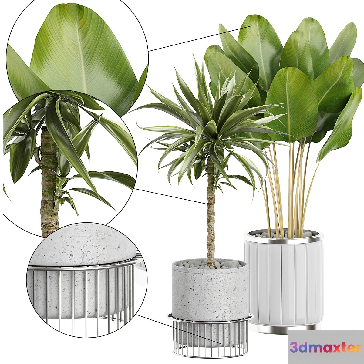 INTERIOR FLOWER PACK 62 3D Max