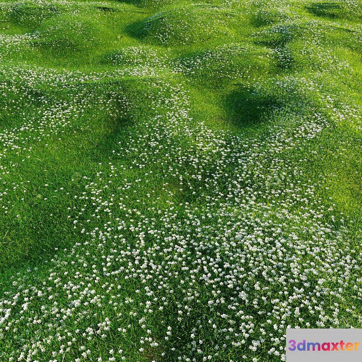 Bryozo lawn 3D Max