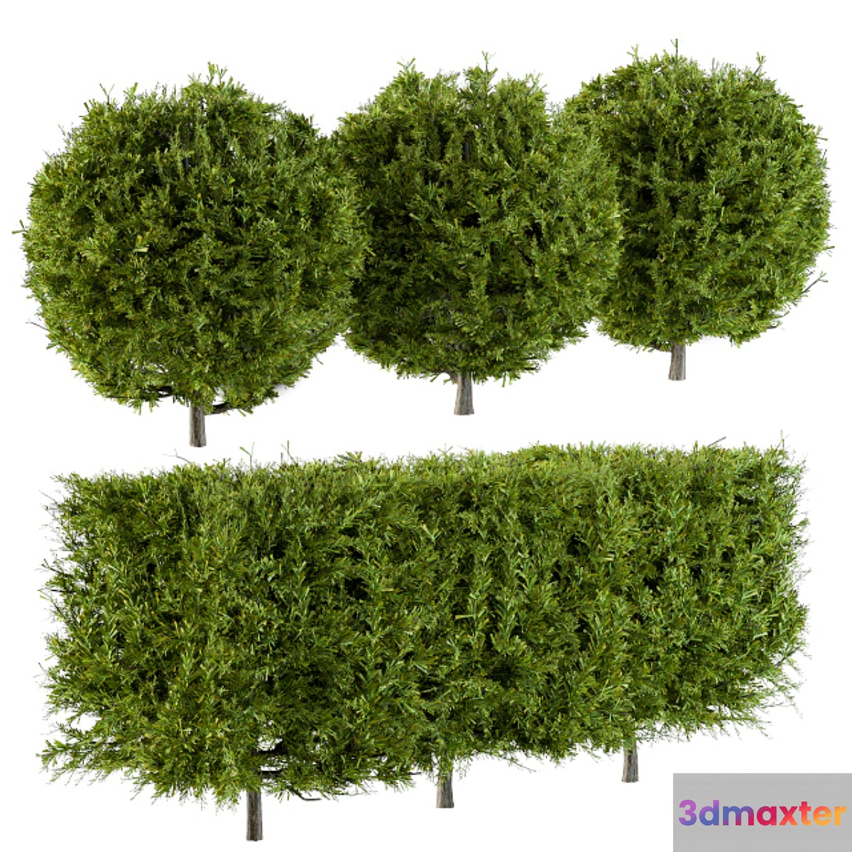 Needle Bush Shape (Cube and Globe) 3D Max