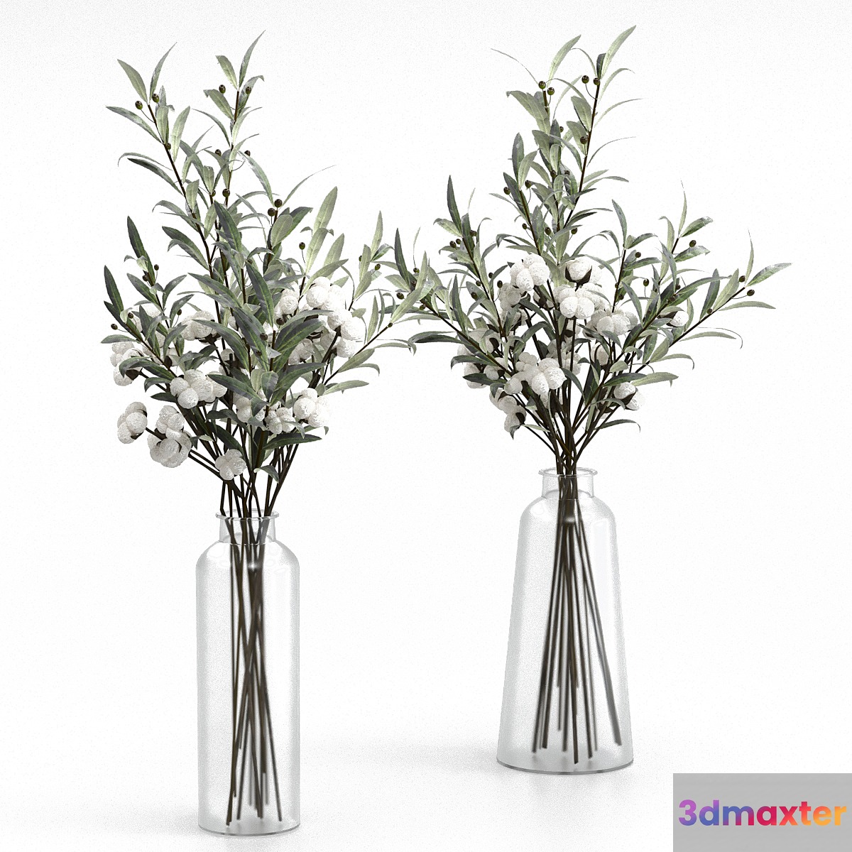 Bouquets of olives and cotton.
