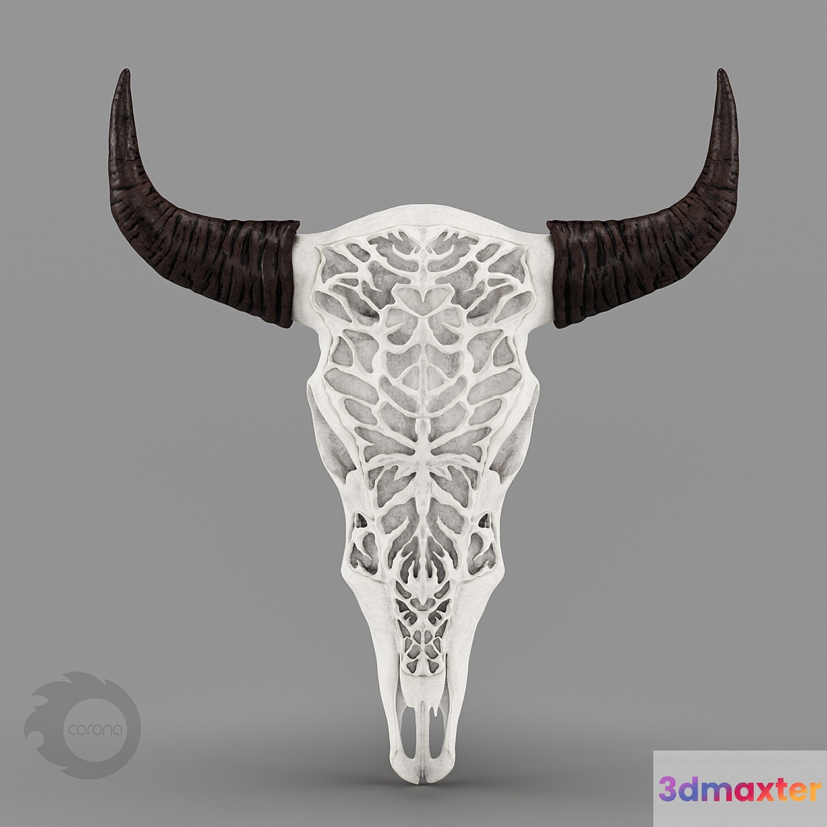 Wall Decor Bull Skull with Bone Carving