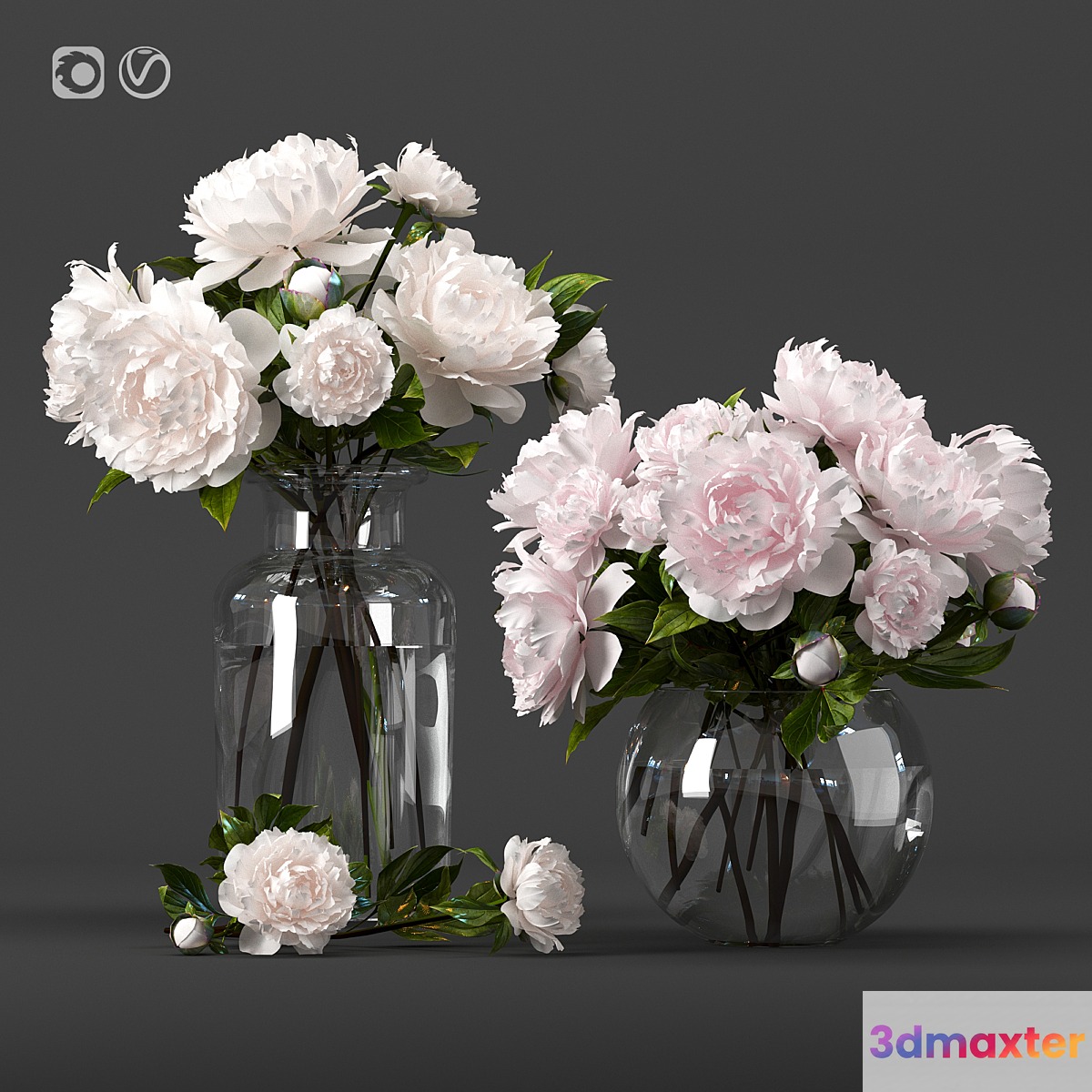 Bouquet 5 Bouquet 5