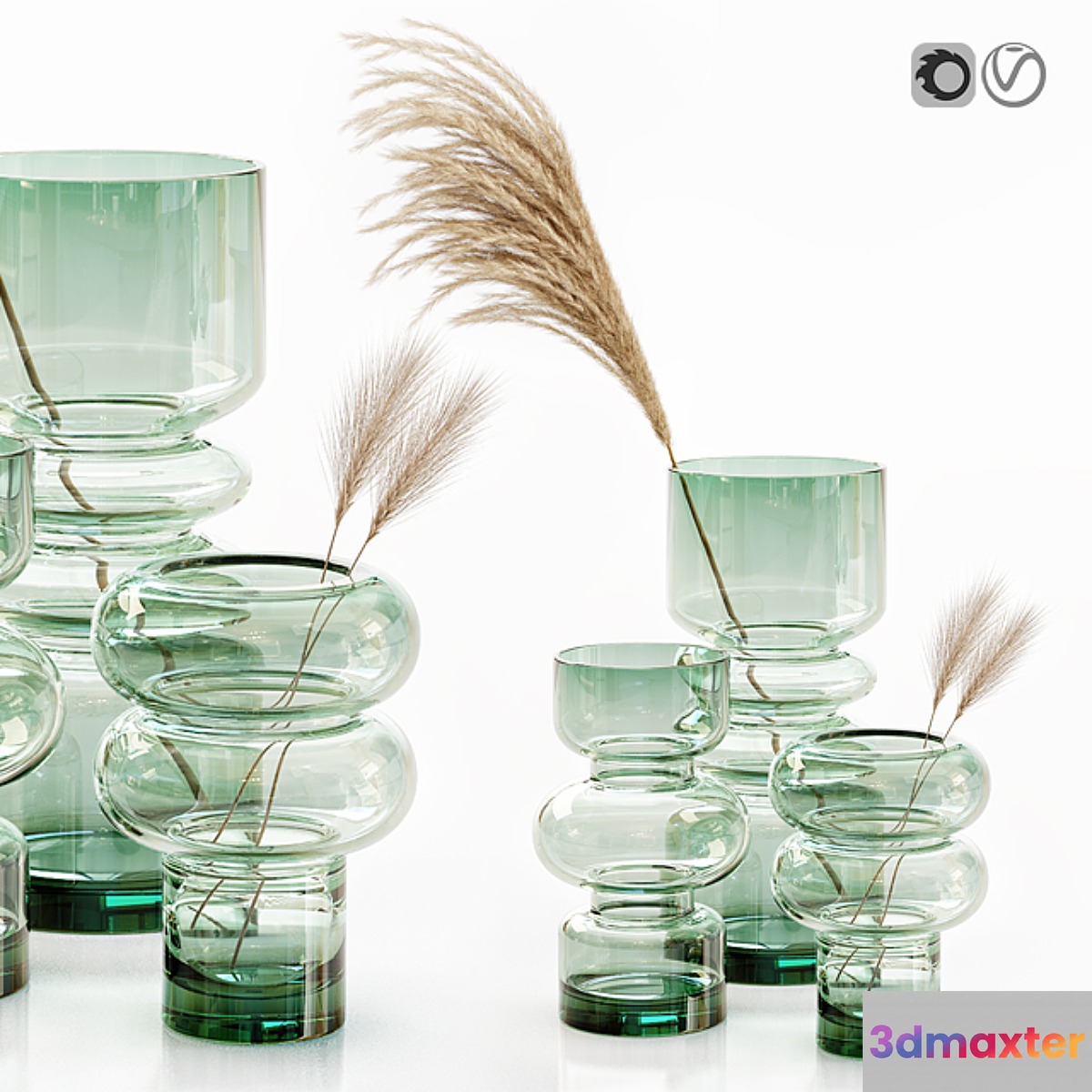 H&M glass vases with dried flower pampas grass