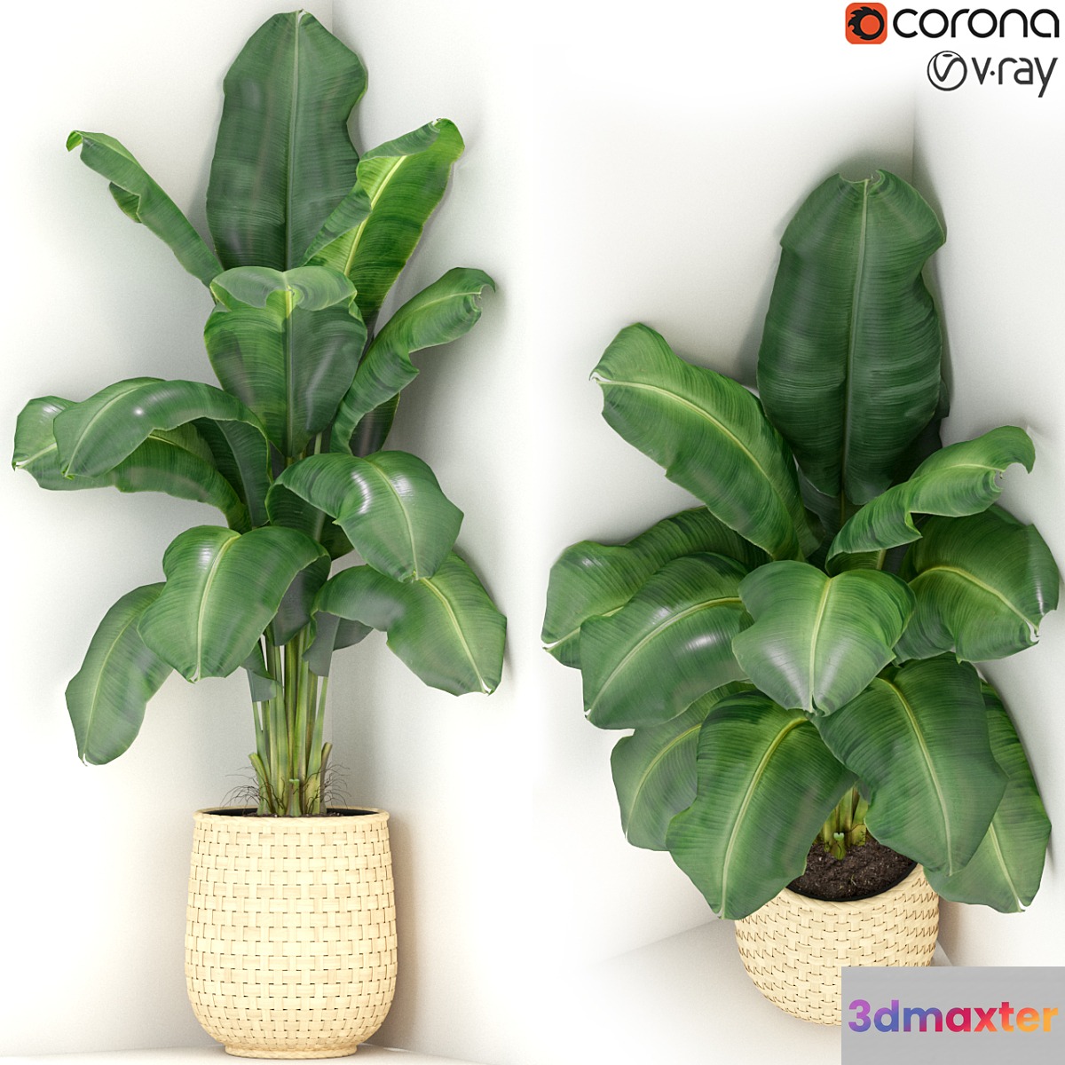 Plants collection 313 3D Max