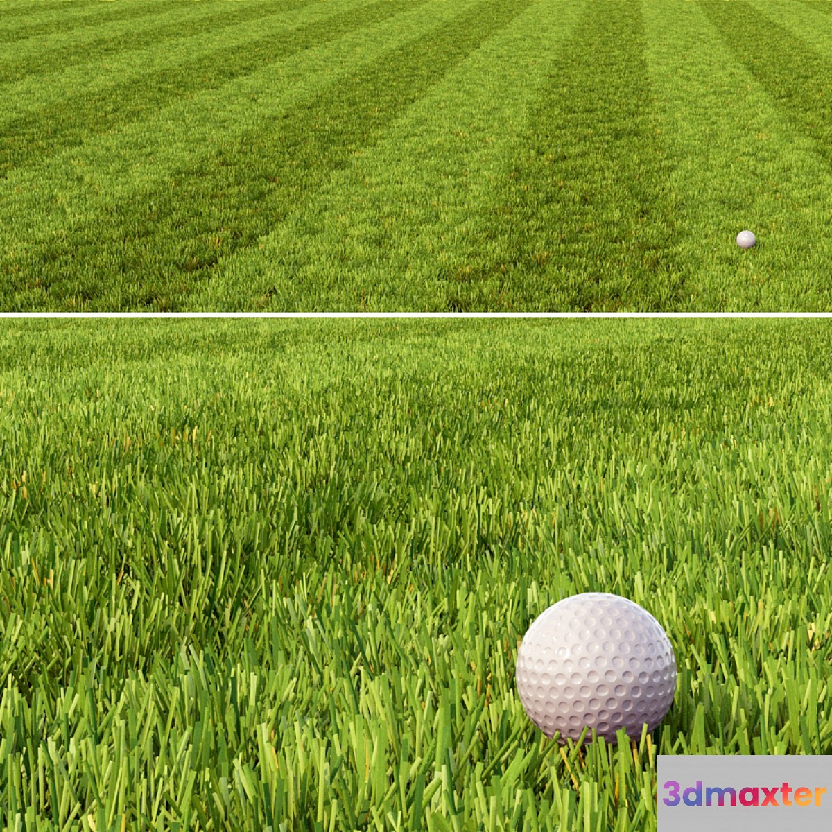 Mowed Lawn - No.2 3D Max