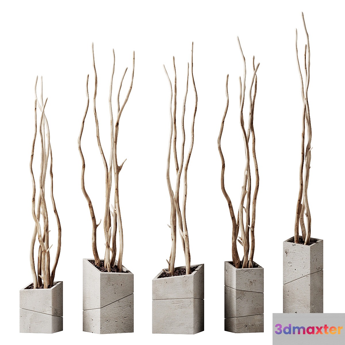 Branch decor vase slice n2 _ Branches curves in beveled vases 3D Max