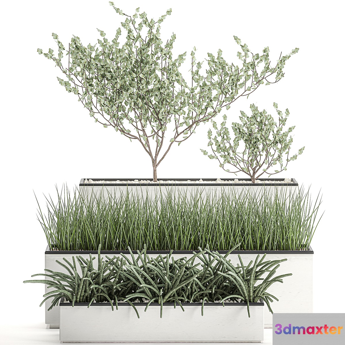 Collection of plants in outdoor white potted flower beds with tree grass Sansevieria. Set 585. 3D Max