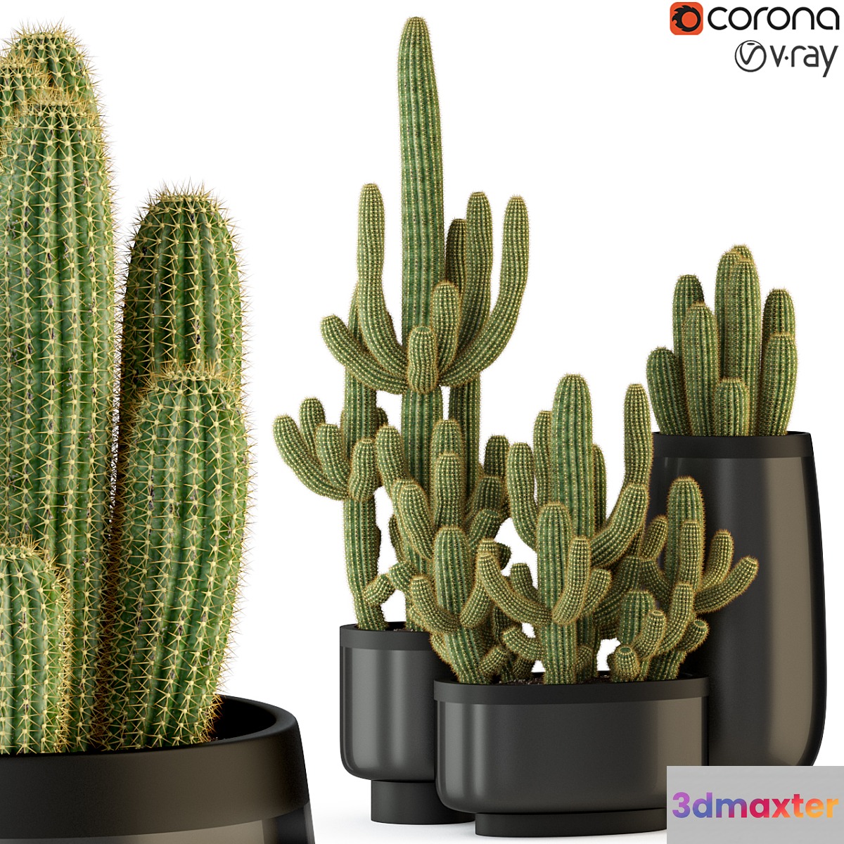 Plants collection 317