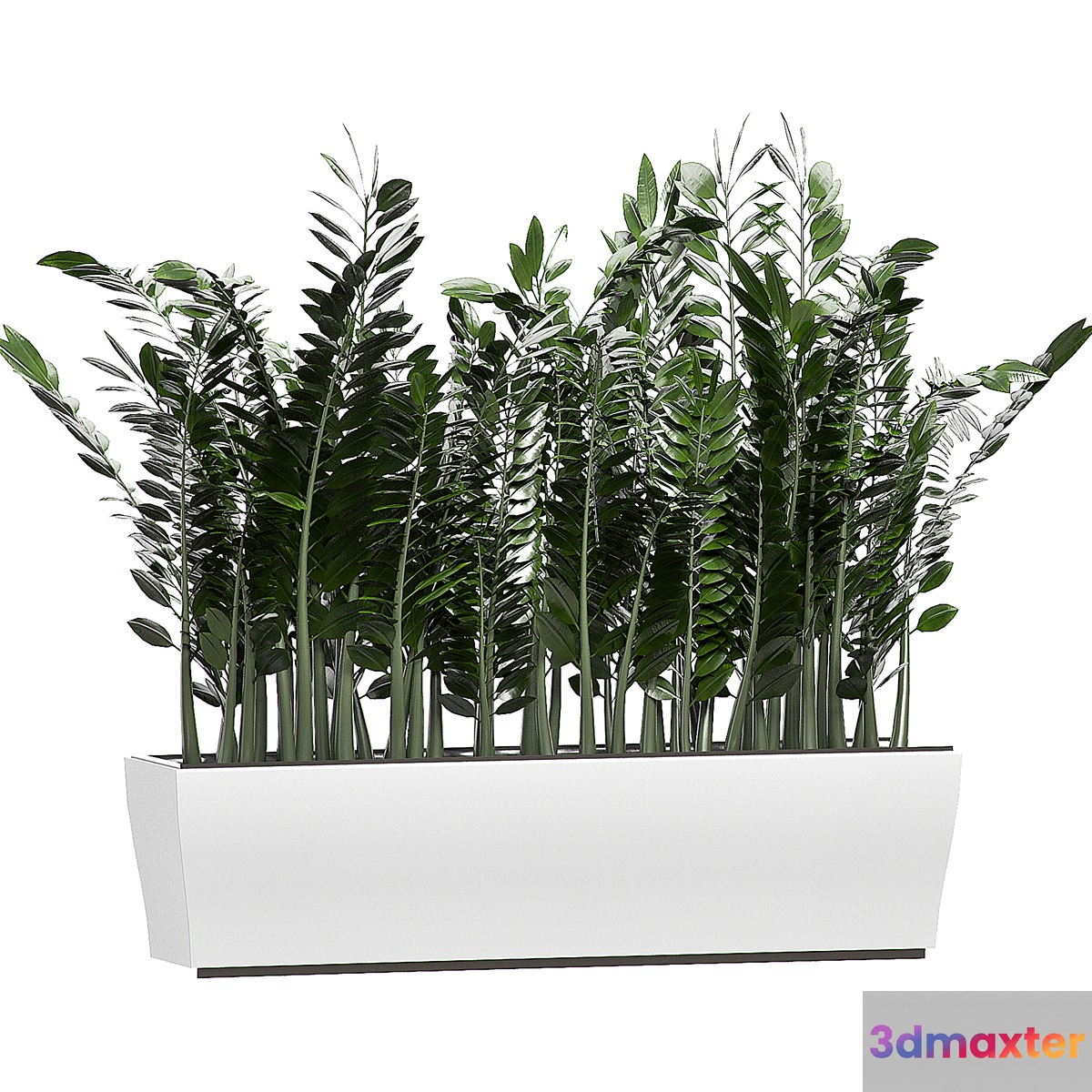 INTERIOR FLOWER 86 3D Max