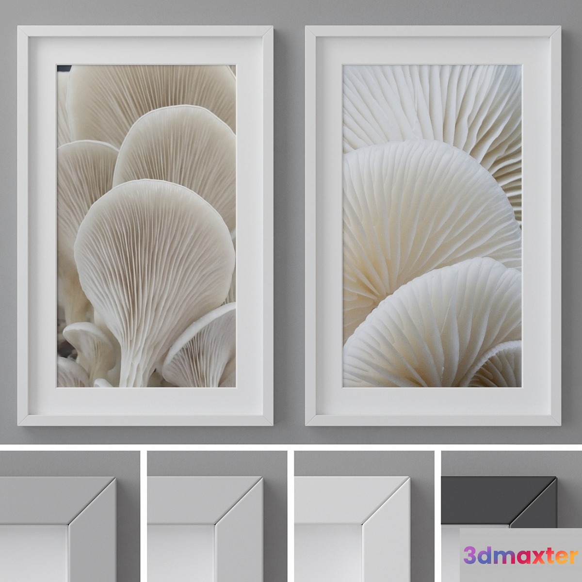 Photo Frames Set 260 - No.2