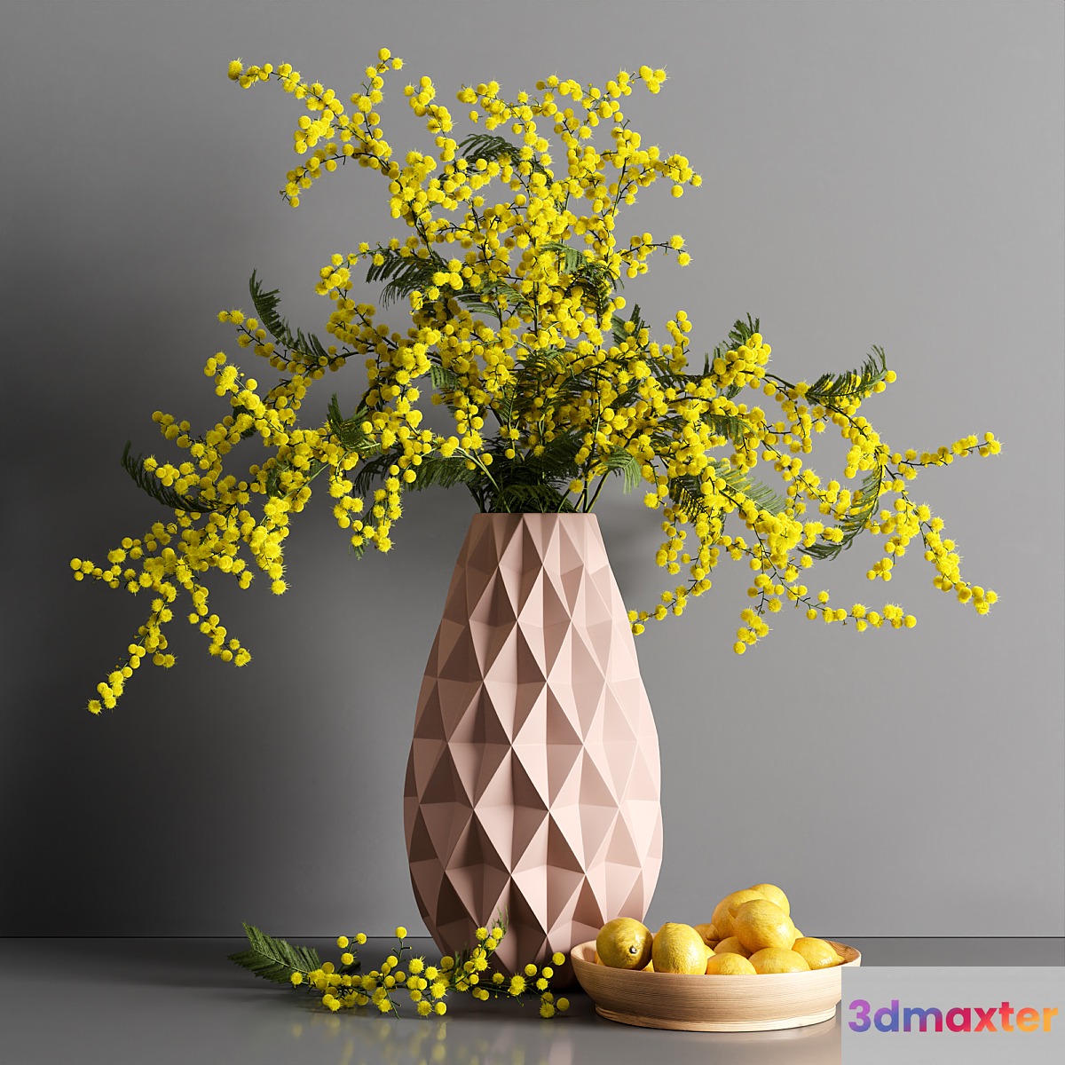 Decorative Mimosa Lemon