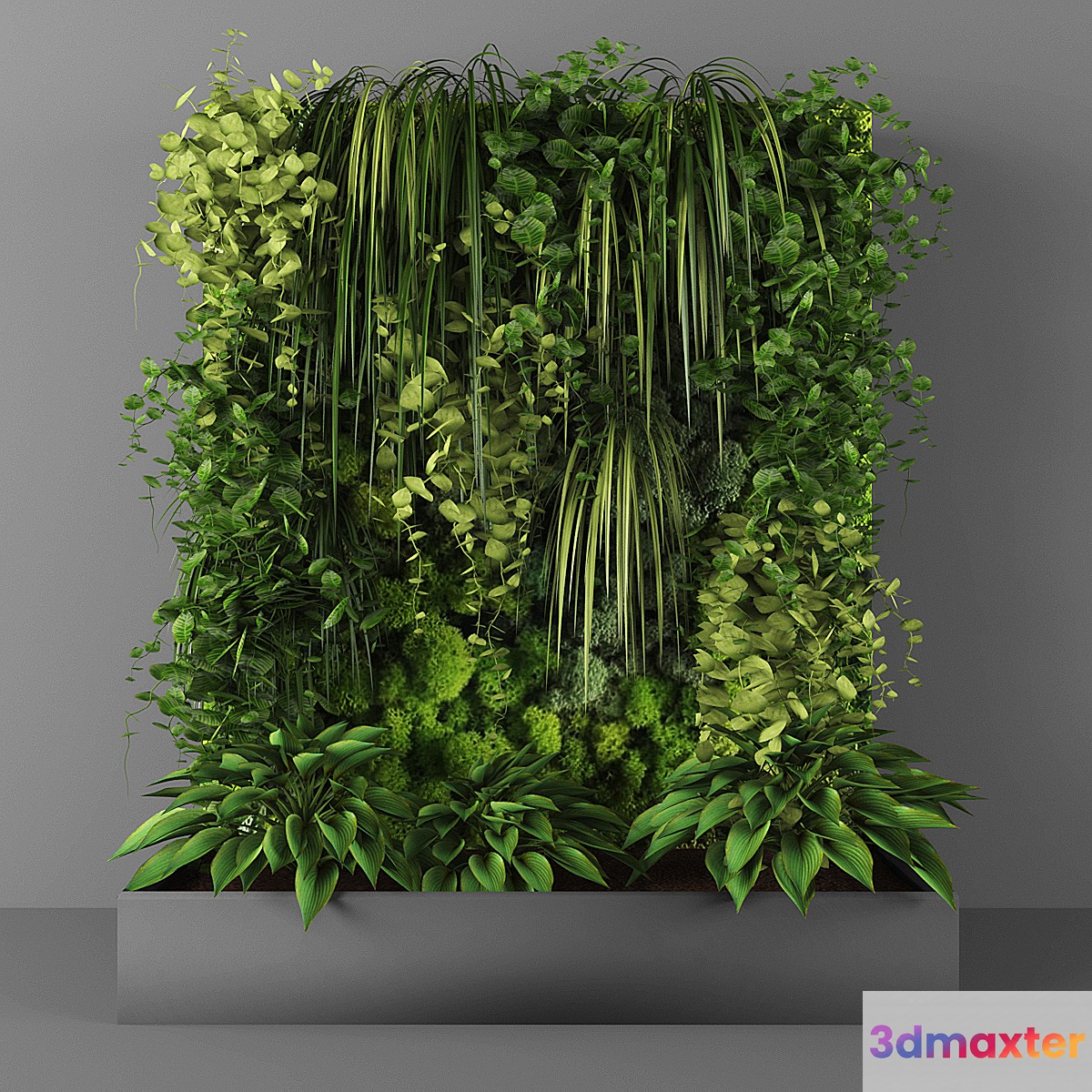 Vertical garden 096 3D Max