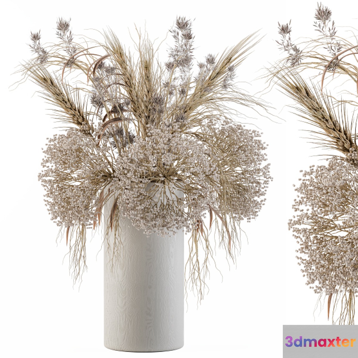 Dry Plants Set 08