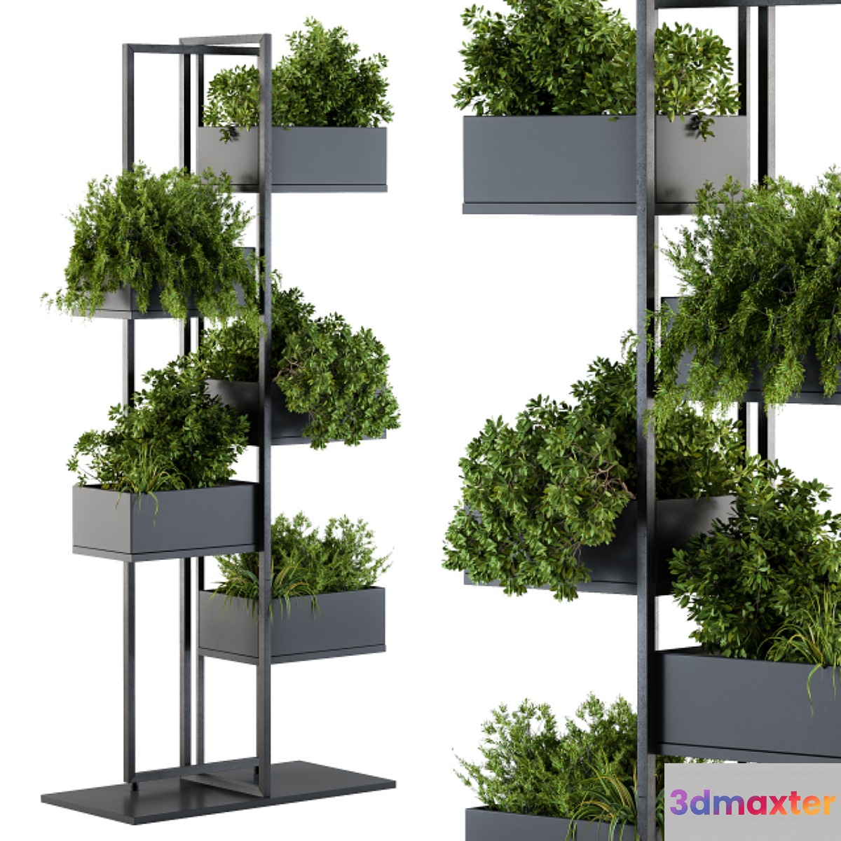 Black Box Plants on stand 03