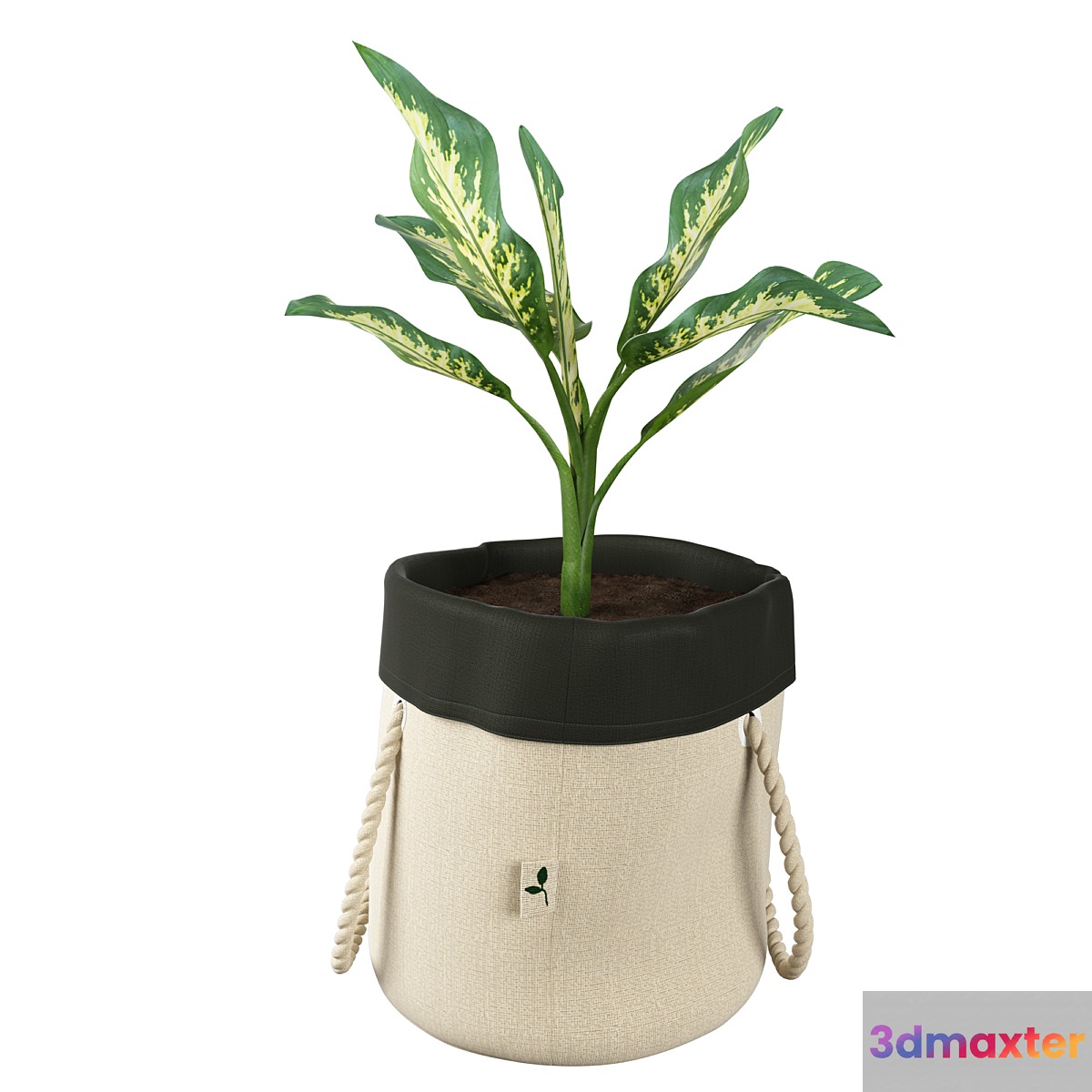 Ikea botanisk dieffenbachia 3D Max