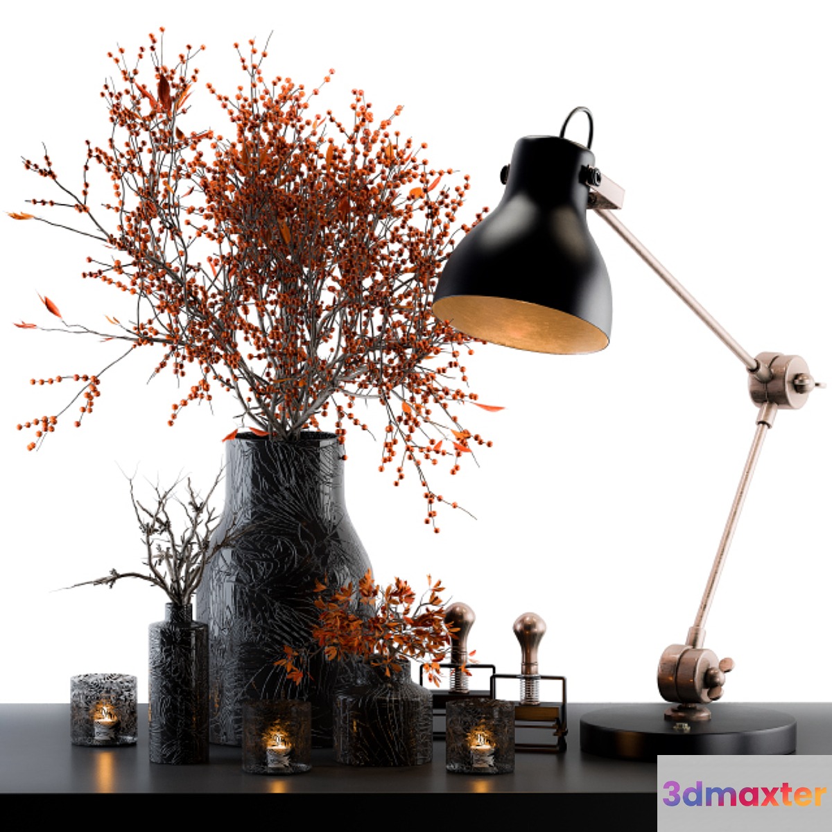 Decorative Set Berry and Branches 3D Max