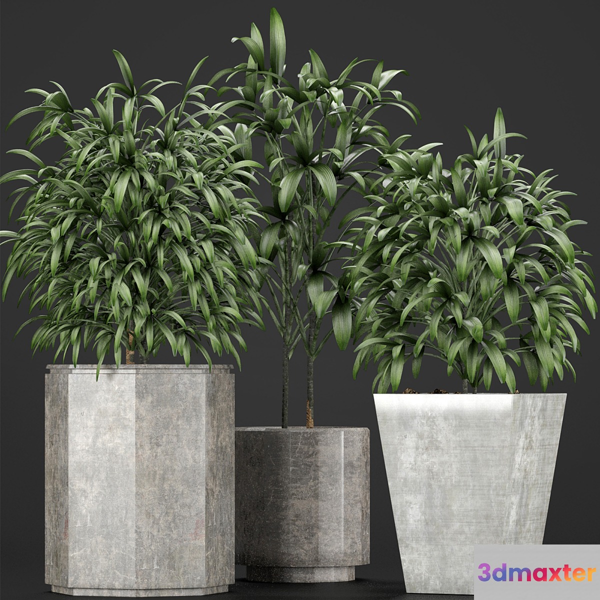 Plants Collection 09 3D Max