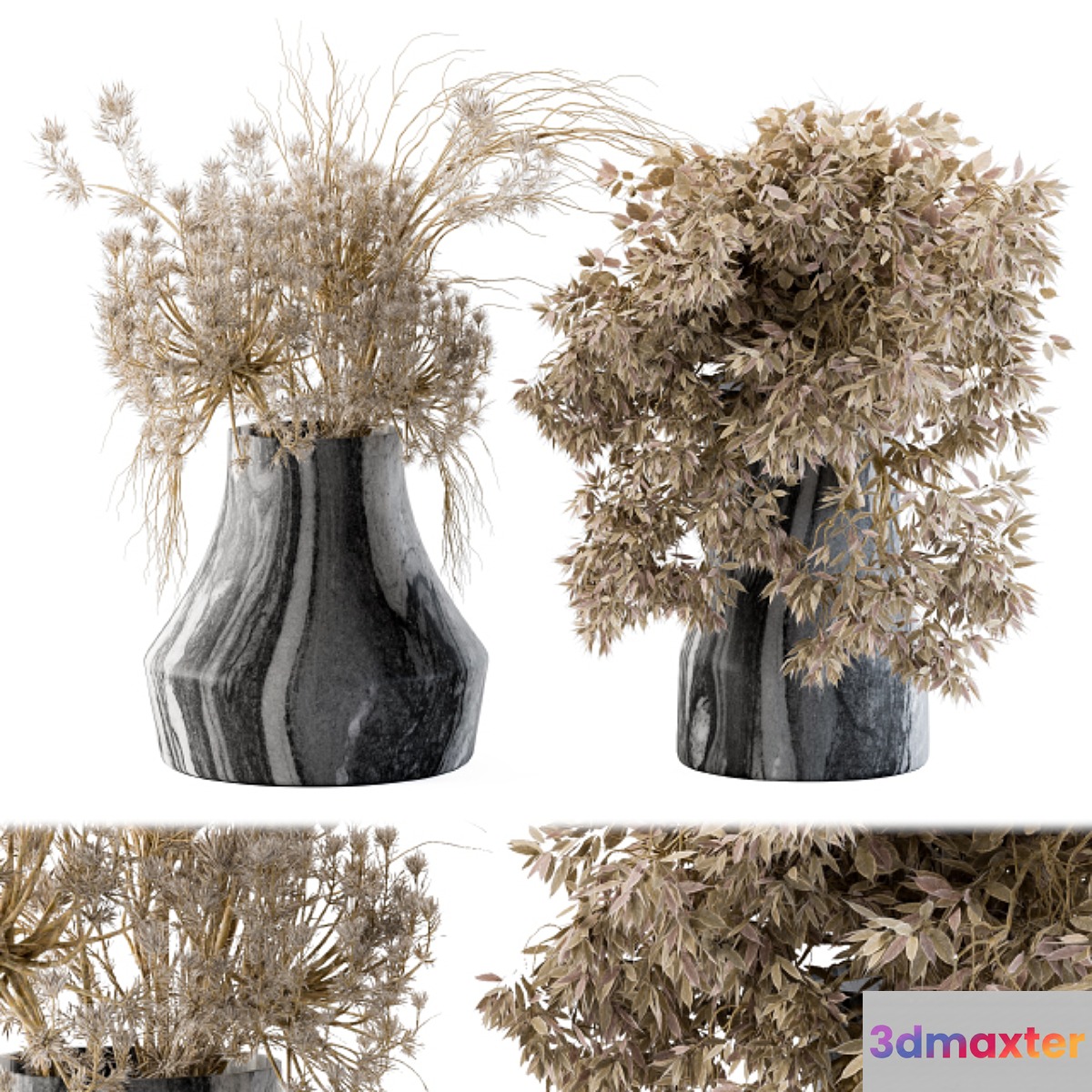 Dry plants 14