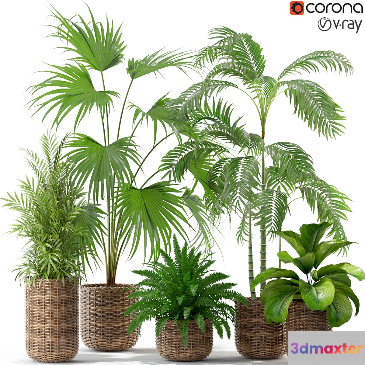Plants collection 338 3D Max