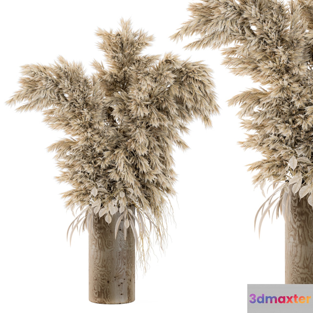 Dry Plants 19 3D Max