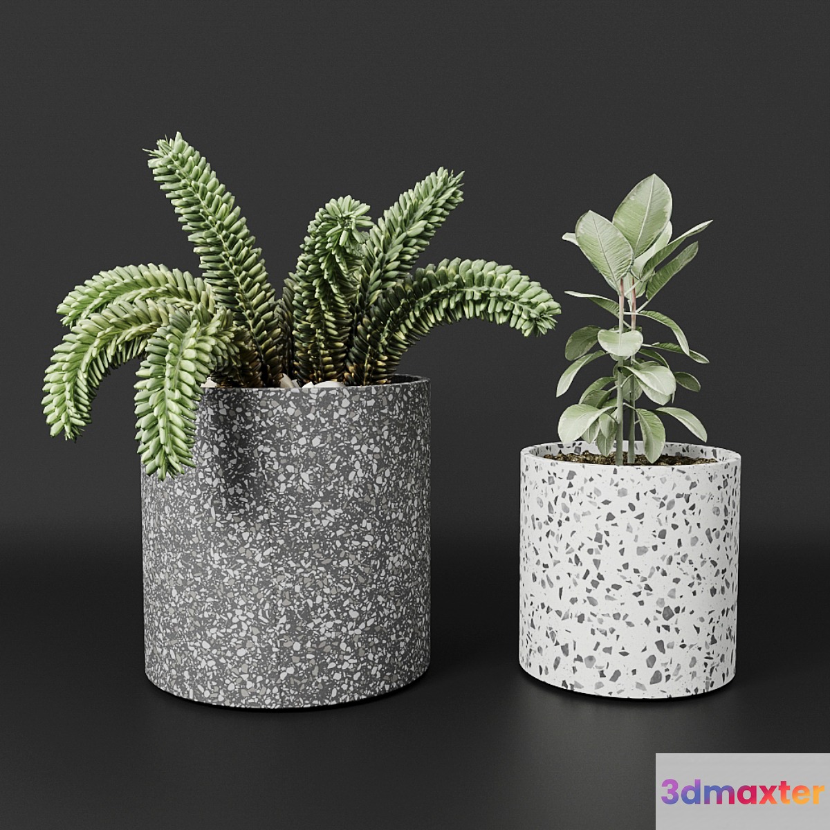 Planter pot Bransc pots