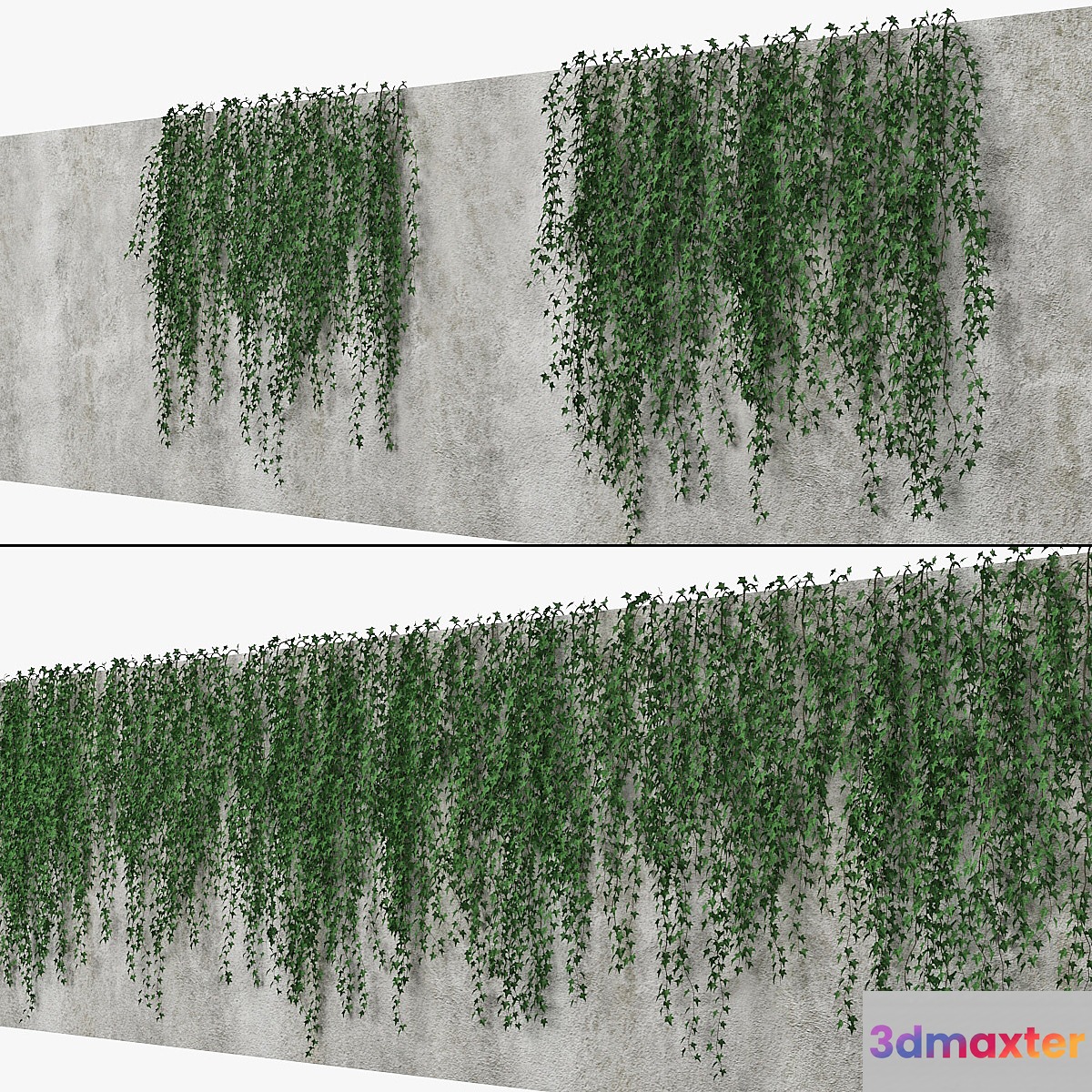 Ivy wall 09 3D Max