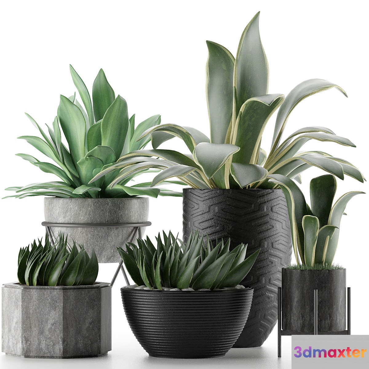 Plants Collection 15 3D Max