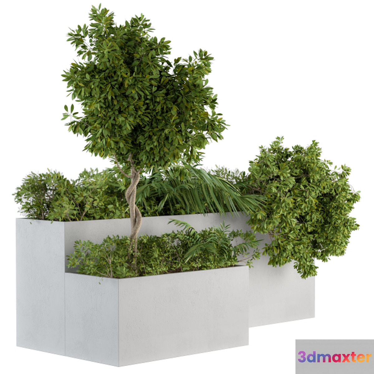outdoor Plants Concrete Box - Set 45 3D Max