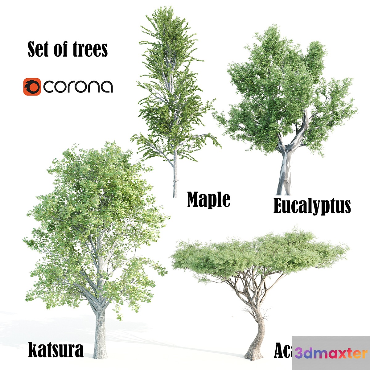 set of tree05 - No.3