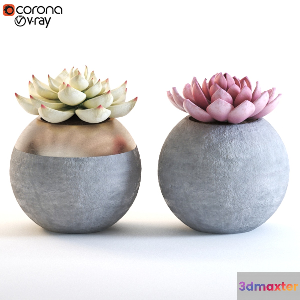 cactus_002 3D Max