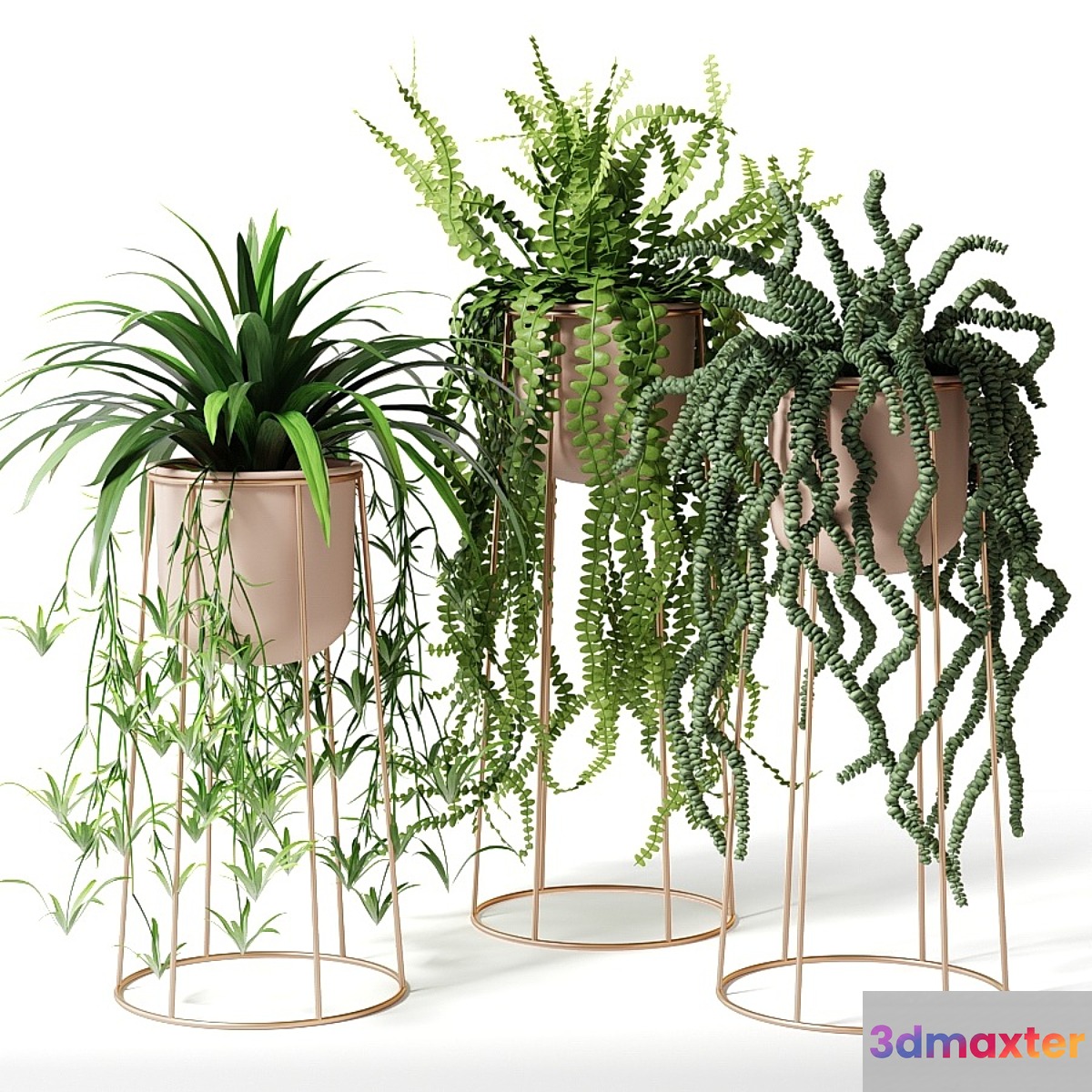 Indoor plants in decorative pots 3D Max