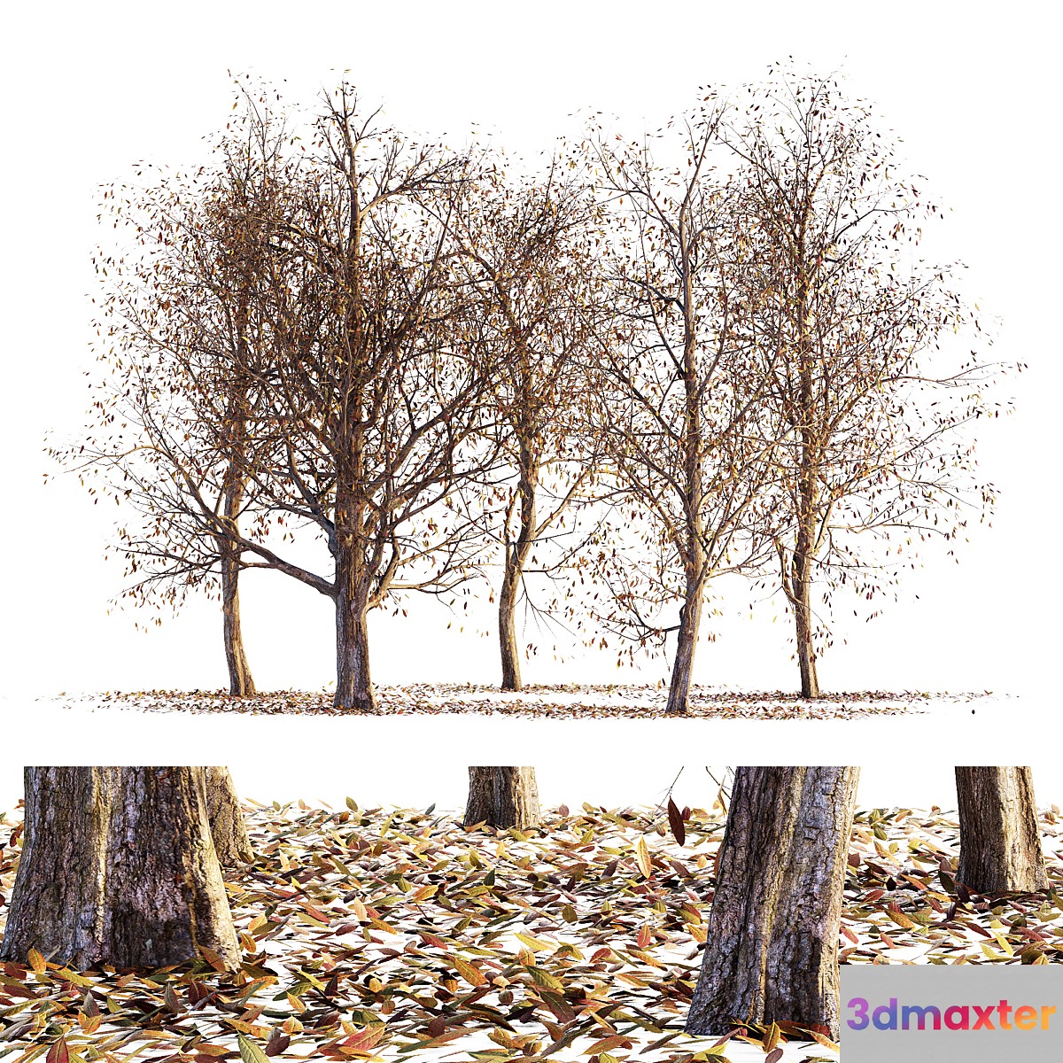 Collection of dry autumn trees 001 3D Max