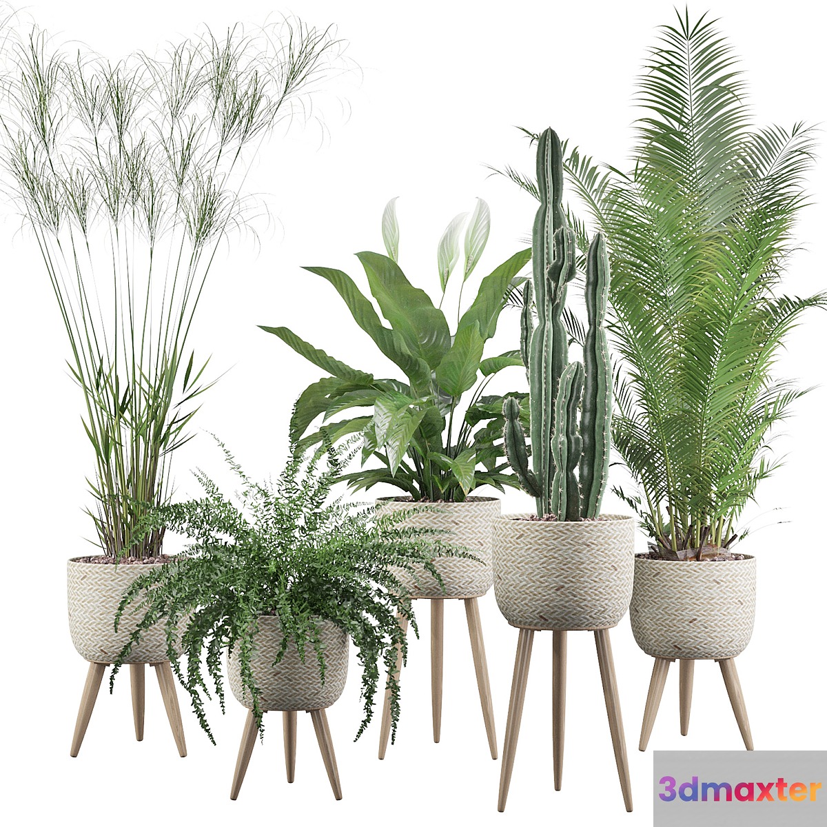 Plants collection 052 3D Max