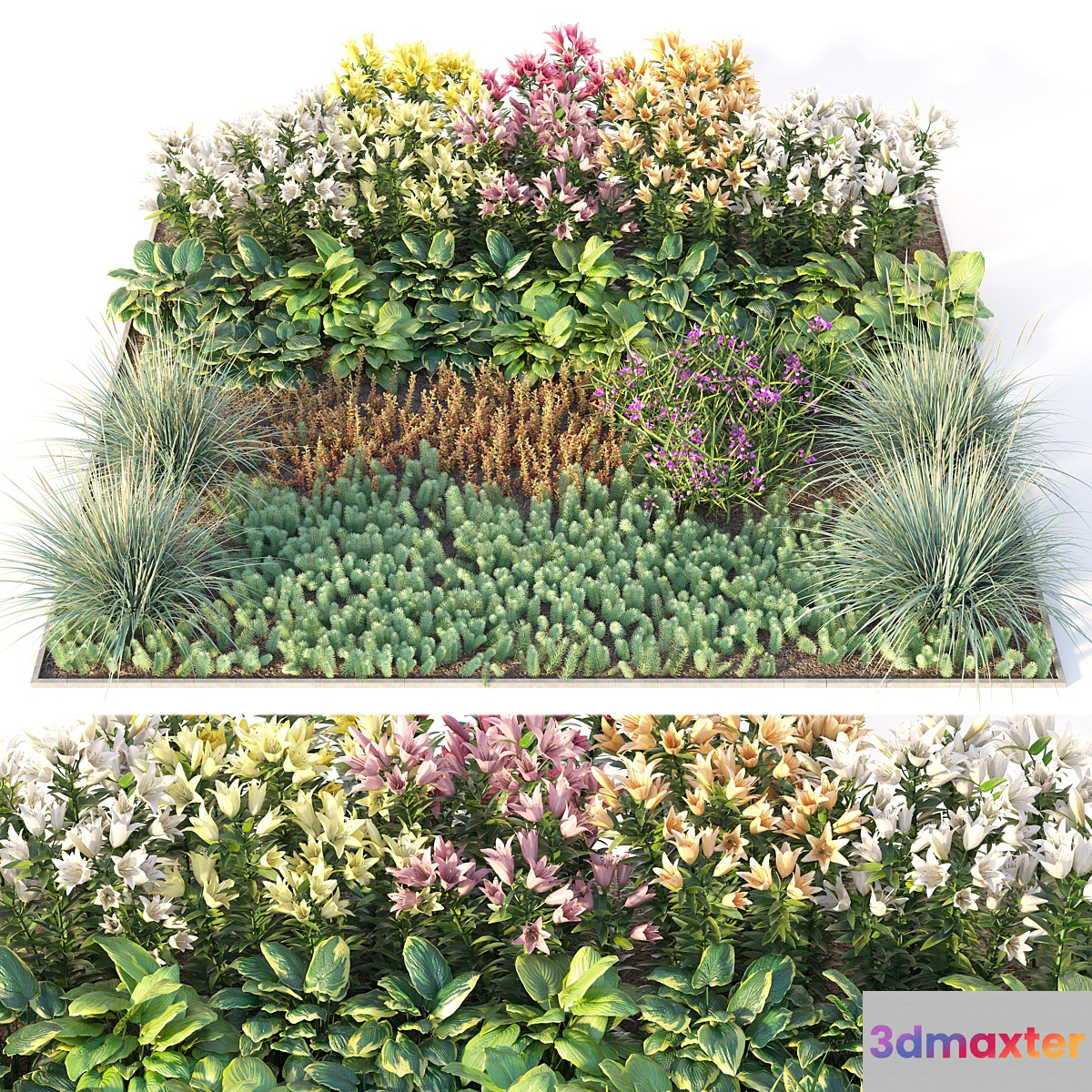 Flower garden 3 - No.3