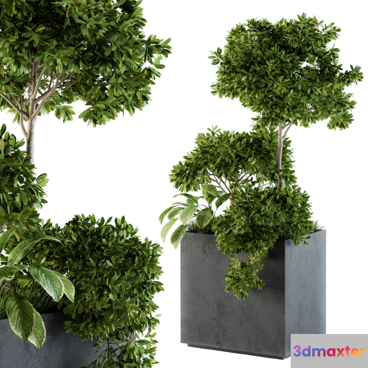 Outdoor Plants Concrete Box - Set 58 3D Max