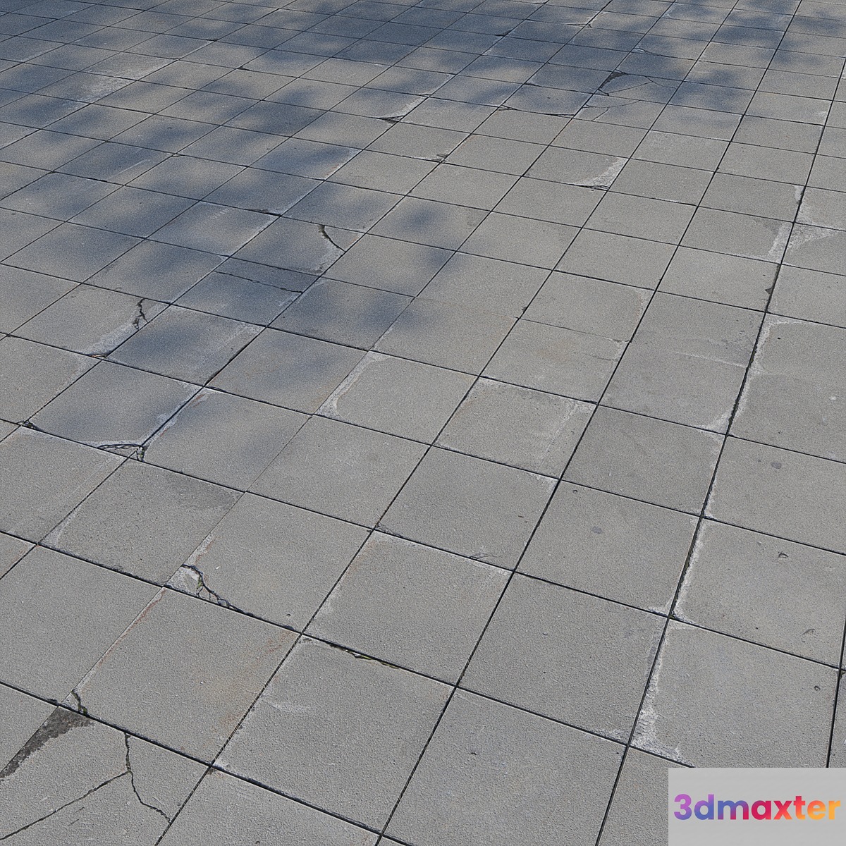 Paving stones 6