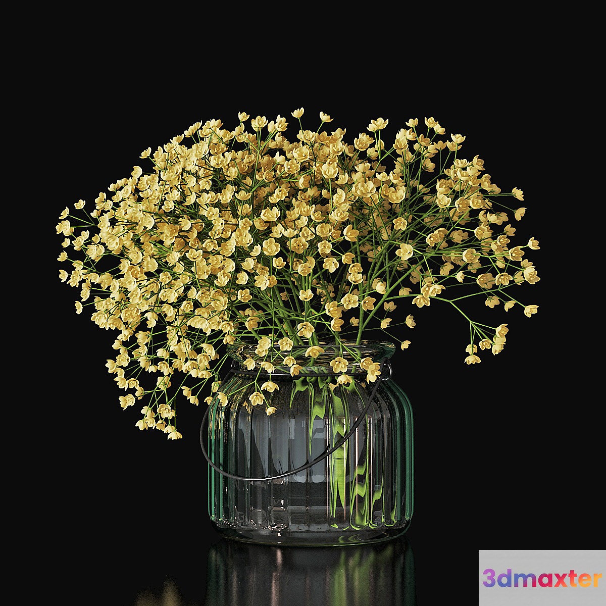 Gypsophila 03 - No.2