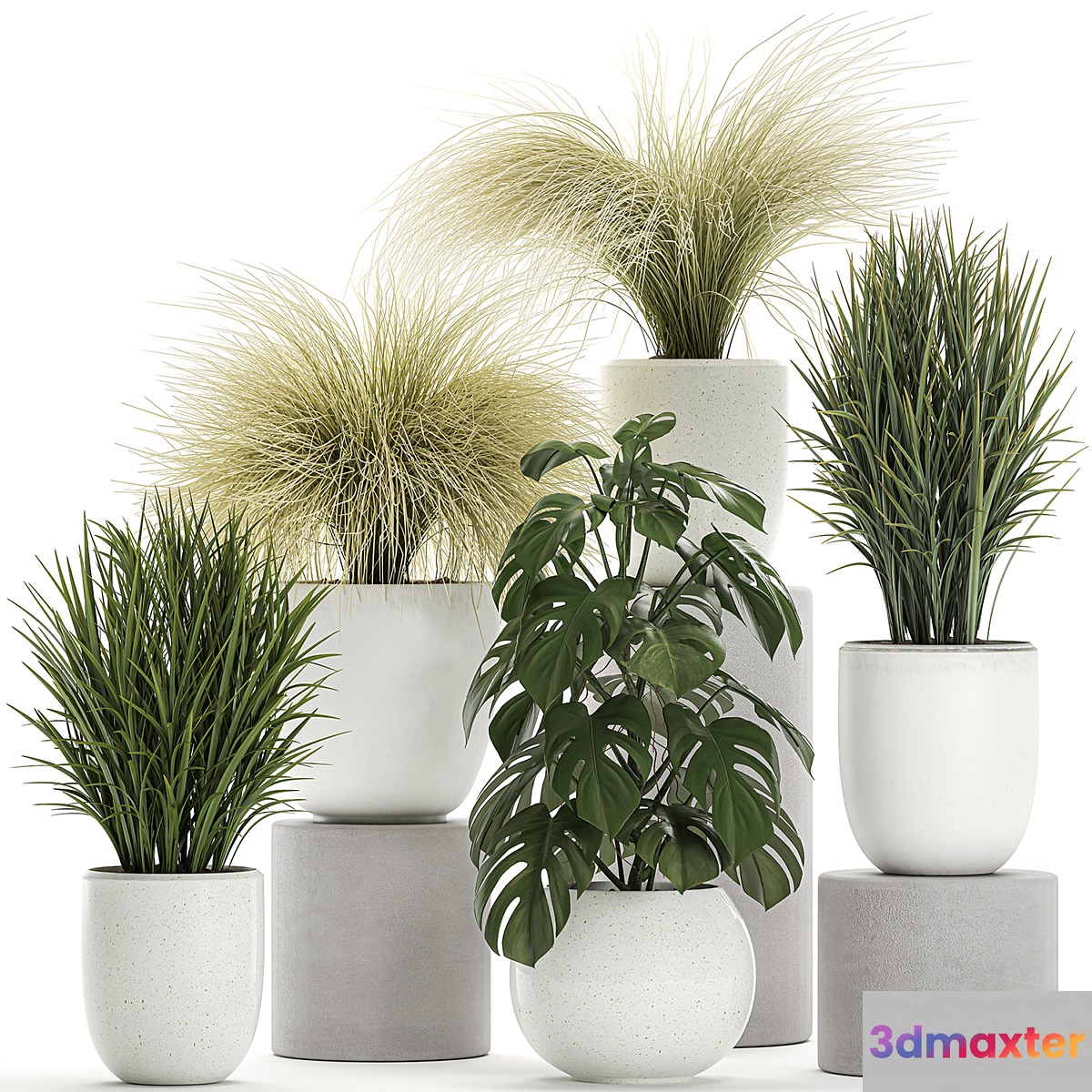 Collection of beautiful small plants in white pots with monstera bushes hummock grass grass. Set 682. 3D Max