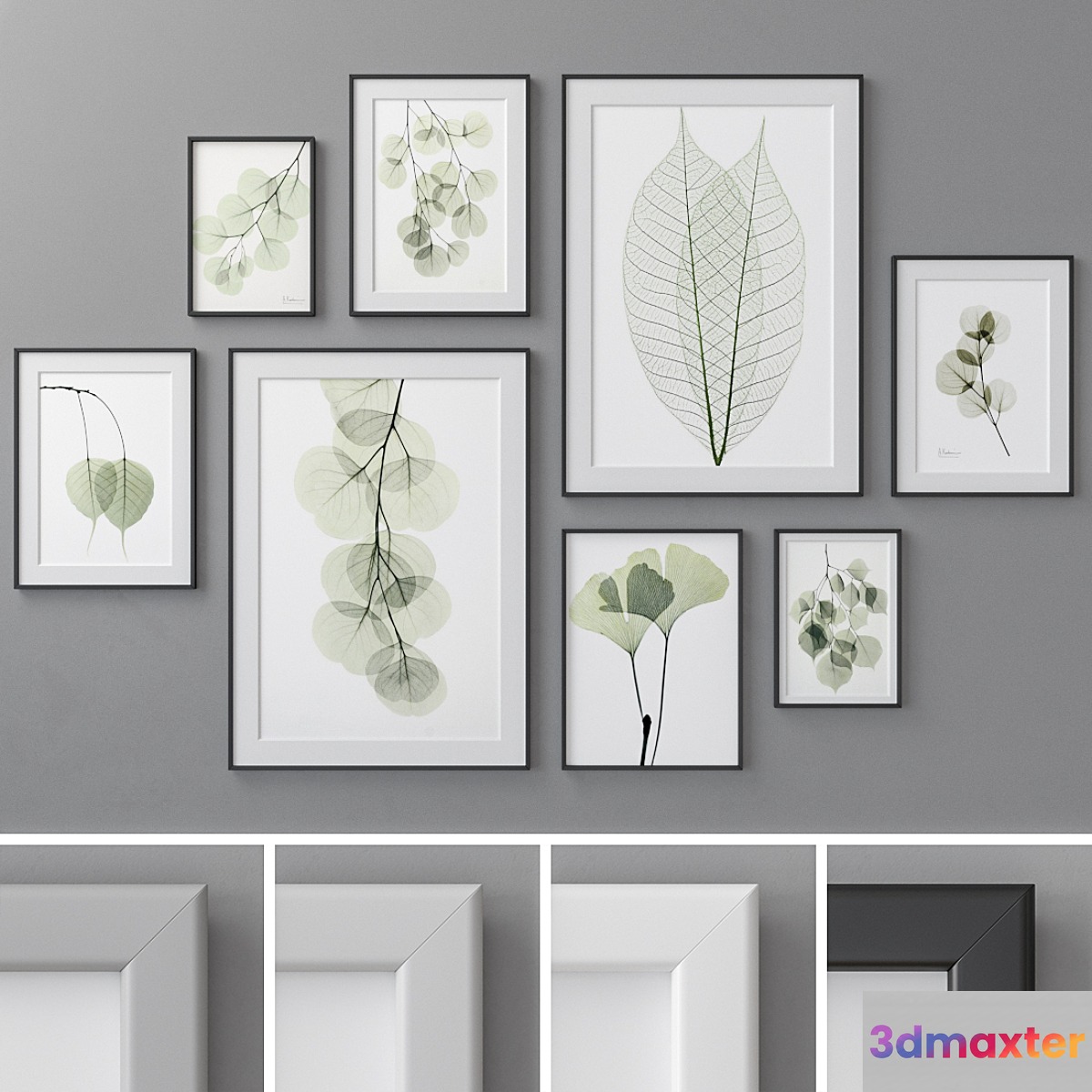 Photo Frames Set 462 - No.4