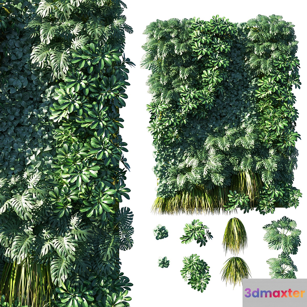Vertical garden_ Green wall 02 3D Max