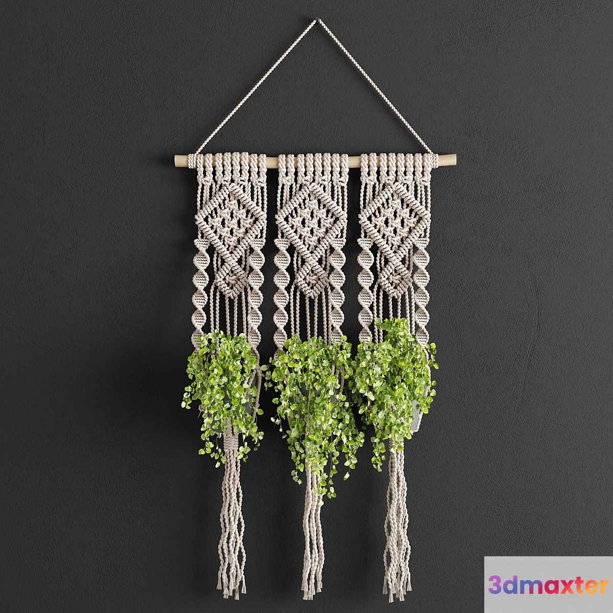 Macrame Planter