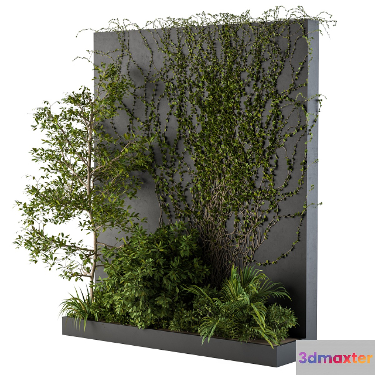 Outdoor Green Wall with Garden ivy 3D Max