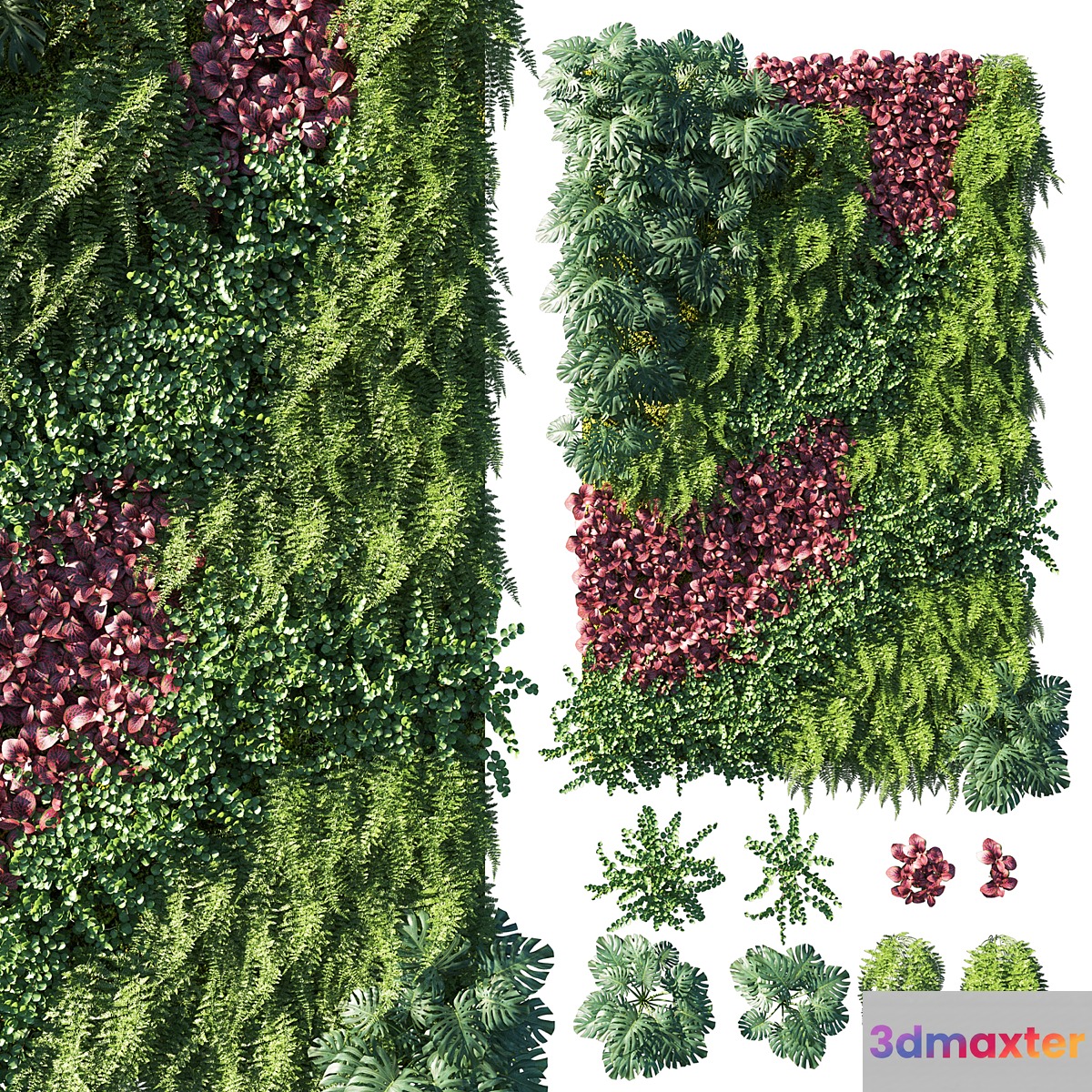 Vertical garden_ Green wall 04 3D Max