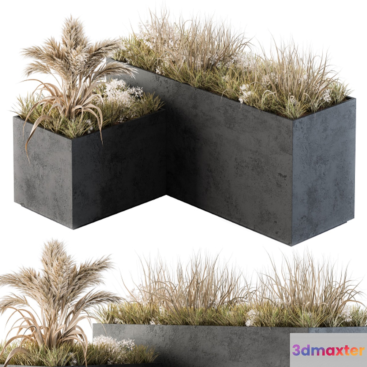 Outdoor Concrete Plant Box with Cereals and Dried Plants - No.2 3D Max