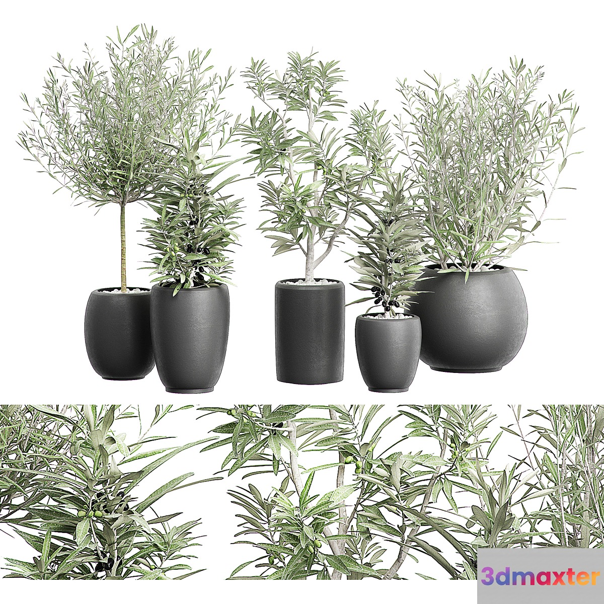 FLOWER PACK 121 3D Max