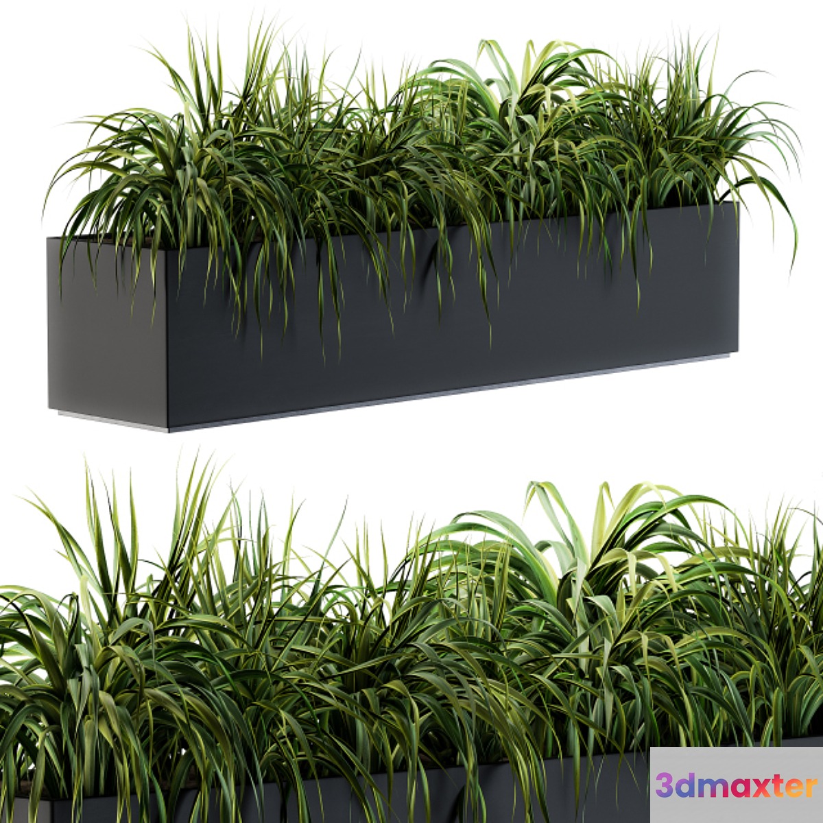 Ranch Grass plants in box - Outdoor Set 63 3D Max