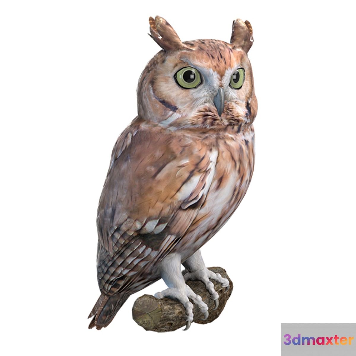 Eastern scoop 3D Max