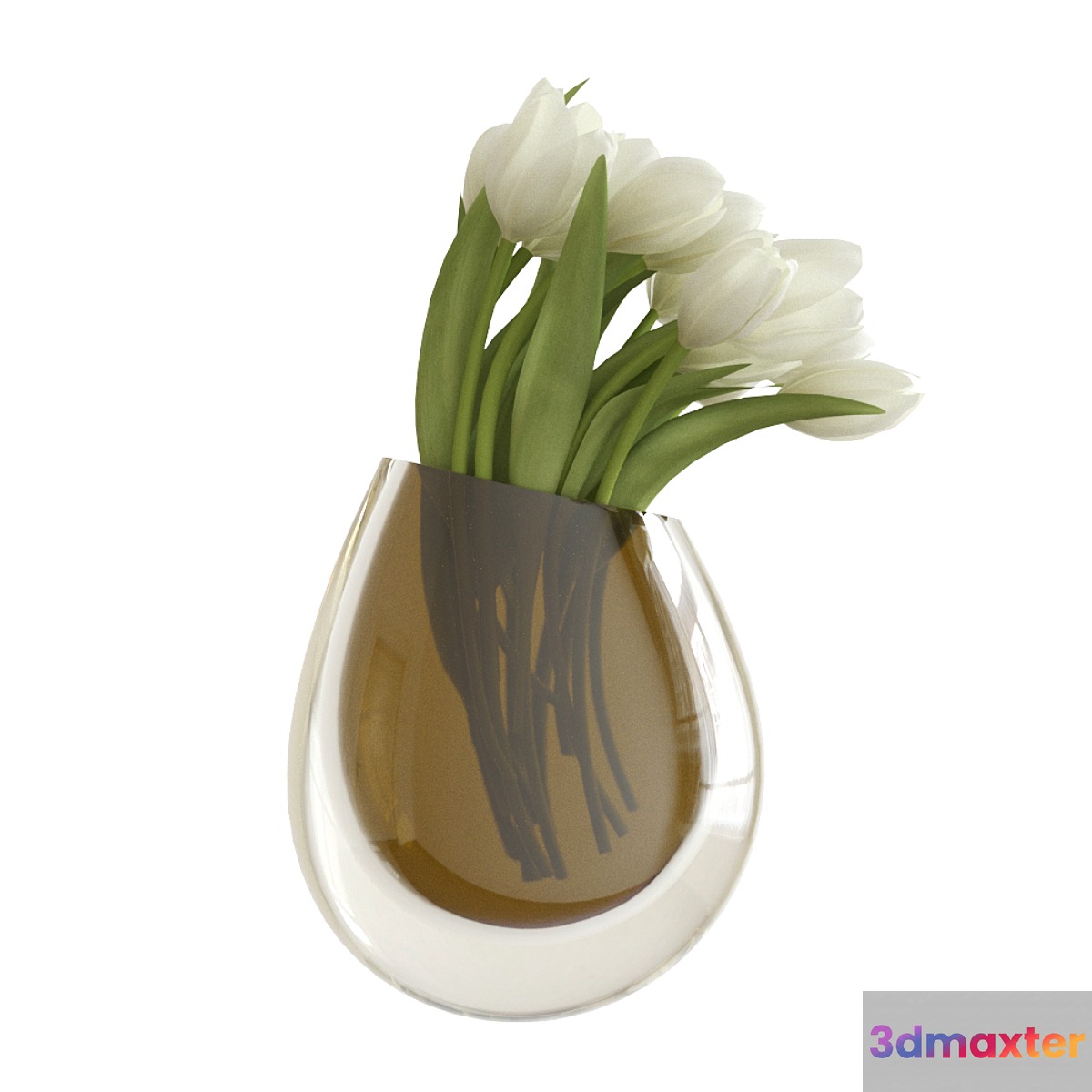 White tulips in a vase 3D Max